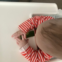 Weaning – and so it begins…
